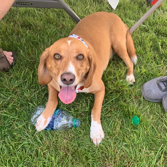 Meet your Posher, Catherine - Picture 1 of 1